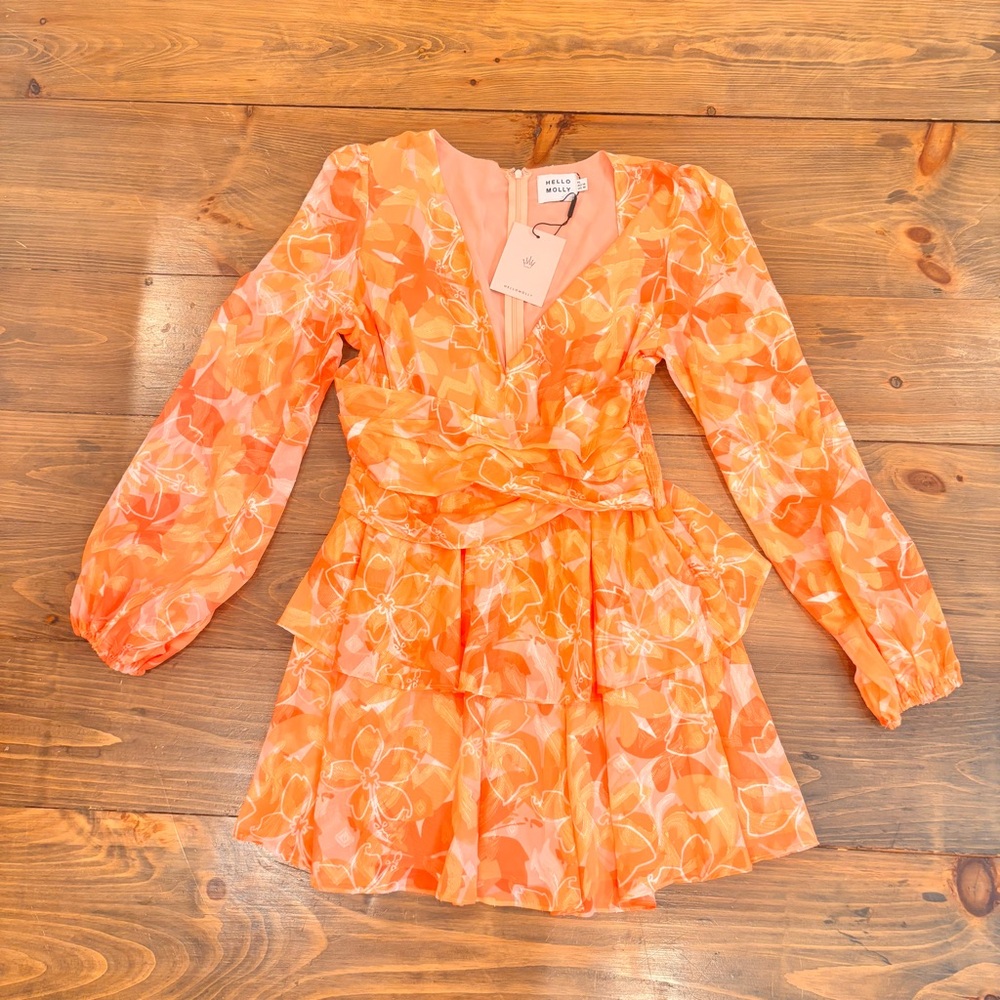 NWT Hello Molly Orange and Pink Floral Minidress, Ruffle, size 10